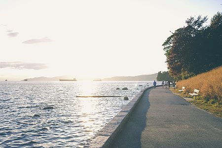 people walking on pathway beside sea at daytime thumbnail