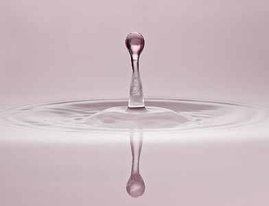 closeup photo of water jew thumbnail