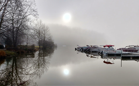 speedboat parked near woods thumbnail