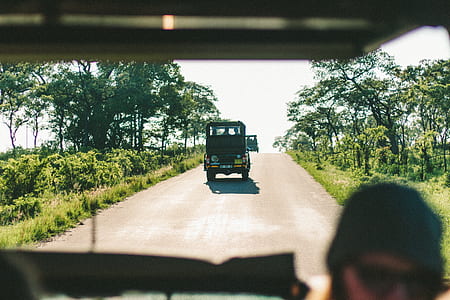 person in black beanie sitting inside vehicle during daytime thumbnail