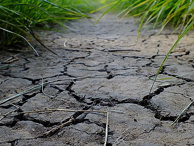 selective focus photography of dried soil thumbnail
