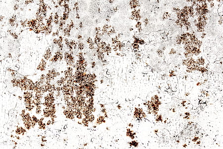 white and brown textile thumbnail