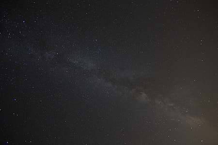 black, brown, gray, night thumbnail