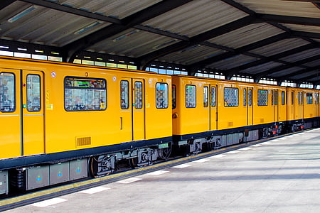 yellow and black trains thumbnail