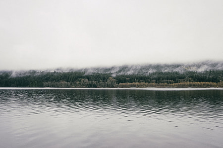 body of water near island with trees thumbnail