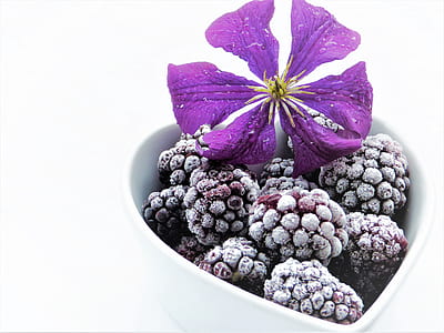 purple berries in white ceramic heart bowl thumbnail