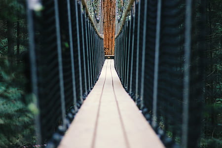 closeup photo of black and gray hanging bridge thumbnail