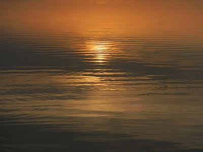 calm body of water during daytime photography thumbnail
