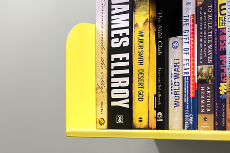 James Ellroy books on shelf thumbnail