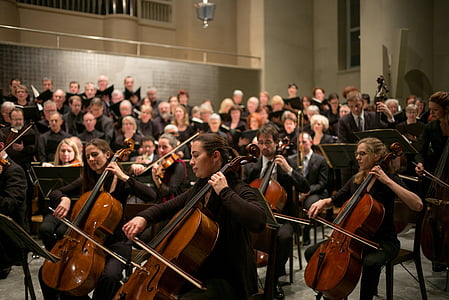 people playing cellos thumbnail