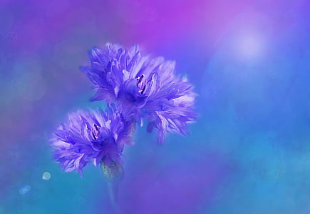 purple cornflowers painting thumbnail