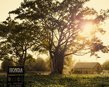 Honda DC metal sign near green trees beside house thumbnail