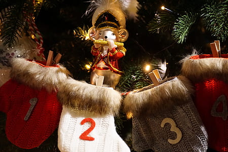 four assorted-color Christmas stockings near green Christmas tree thumbnail