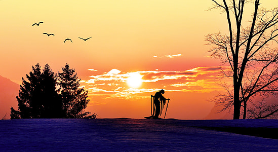 silhouette of man near bare tree under orange sky thumbnail