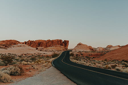 black road between cactus thumbnail