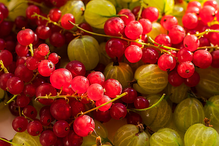 pile of grapes thumbnail