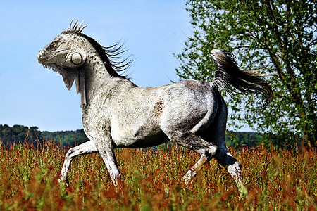 edited photo of white horse body with chameleon head thumbnail