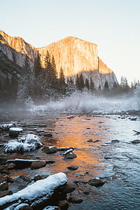 photo of trees near rivers thumbnail