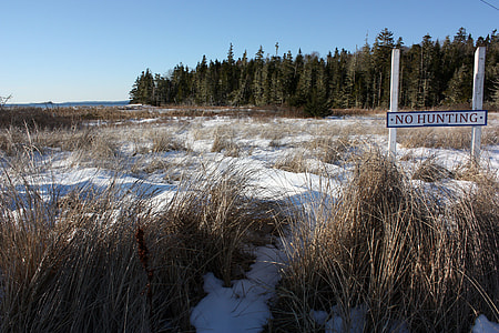 Snowy landscape in the winter in Nova Scotia thumbnail