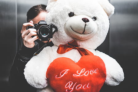 Young Man Taking Selfie with Big Teddy Bear for His Girlfriend in Elevator thumbnail