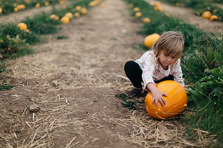 child holding on pumpkin thumbnail