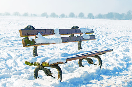 close up of wooden bench with snow surround by field of snow thumbnail