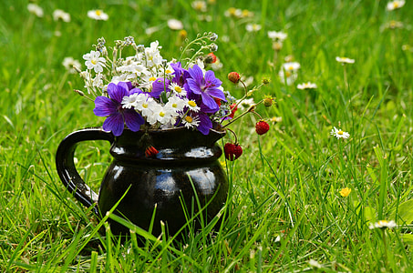 closeup photo of white and purple petaled flowers in pot thumbnail