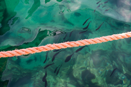 orange rope thumbnail