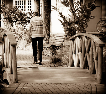 man walking with Chihuahua outdoor thumbnail