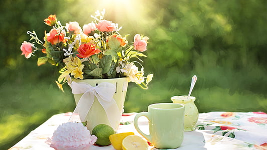 white and yellow petaled flowers thumbnail