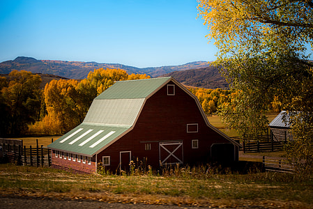 red barn near the forest thumbnail