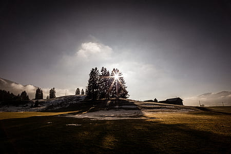 landscape photography of trees under blue sky thumbnail