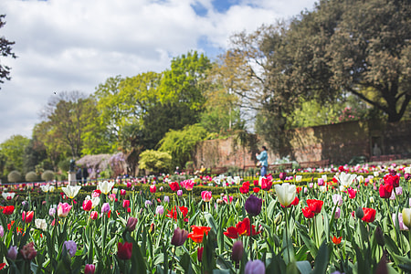 Beautiful Spring Garden thumbnail