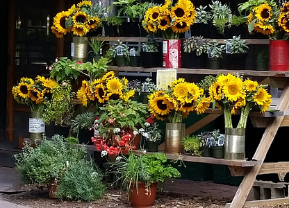 Morning Glory Farms, Marthas Vineyard thumbnail