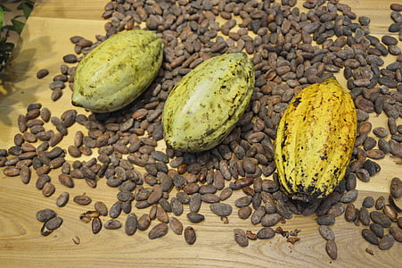 three fruits thumbnail