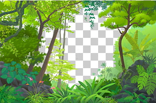 Jungle Euclidean Tropical rainforest, Cartoon Forest, forest PNG clipart