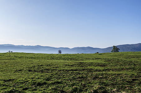 two persons walking on green field thumbnail