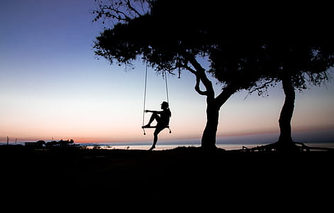 silhouette of person riding swing on tree thumbnail