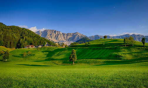 Landscape Photography Of Green Grass Field thumbnail