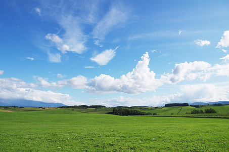 cloudy sky over green grass field thumbnail