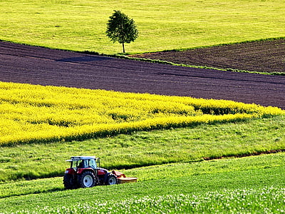 red lawnmower on green grass field thumbnail