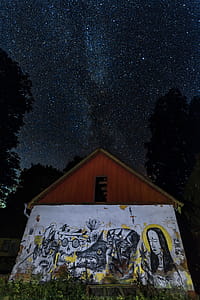 Brown and White Shed Beside Trees thumbnail