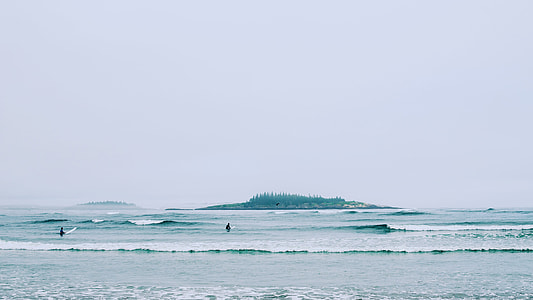 surfers on beach during daytime thumbnail