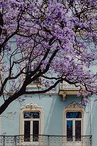 Lisbon Architecture, Portugal thumbnail