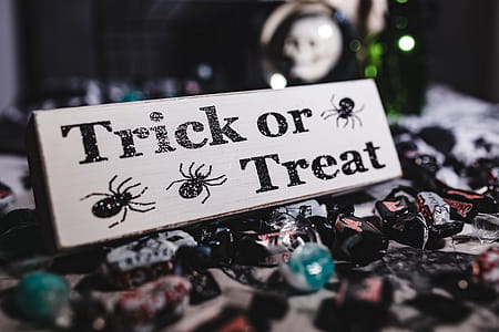 Halloween Decorations thumbnail