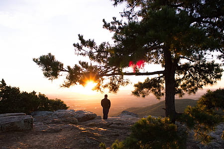 man standing beside green trees thumbnail