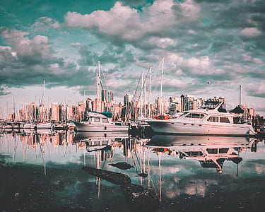 yachts docked on near land thumbnail