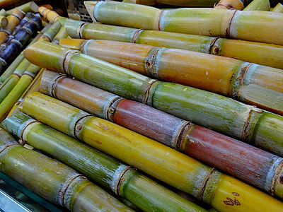 yellow and brown bamboo thumbnail