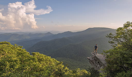 man standing on boulder near trees thumbnail