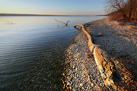 body of water thumbnail